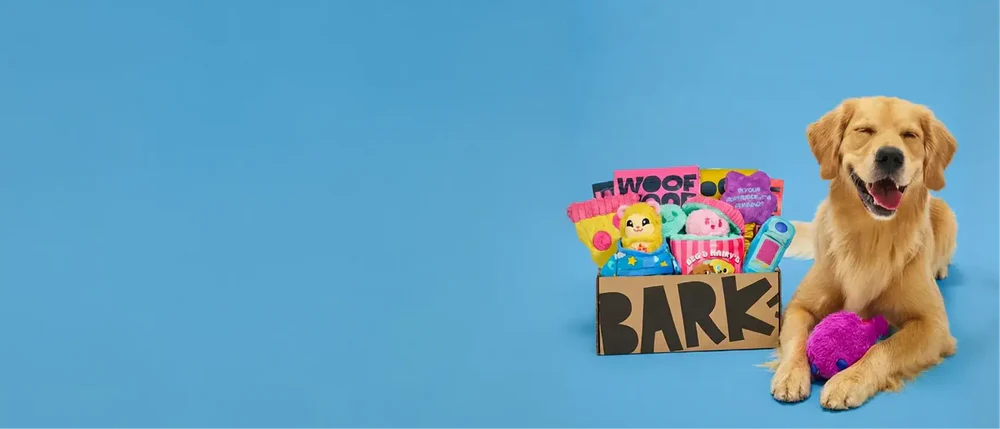 Unbox Joy for Your Pup